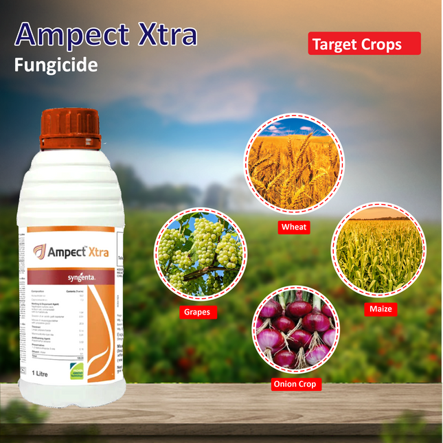 Syngenta Ampect Xtra Fungicide