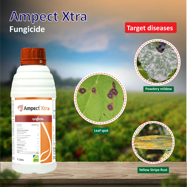 Syngenta Ampect Xtra Fungicide
