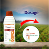 Syngenta Ampect Xtra Fungicide
