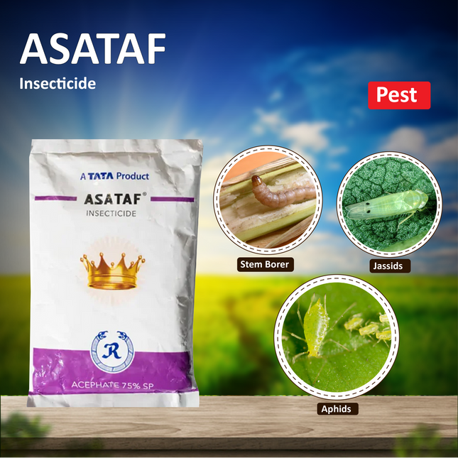 Tata Asataf Acephate 75% SP Insecticide