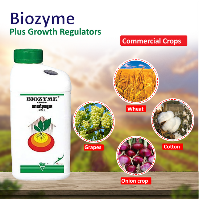 Biostadt Biozyme C Plus  Growth Regulators