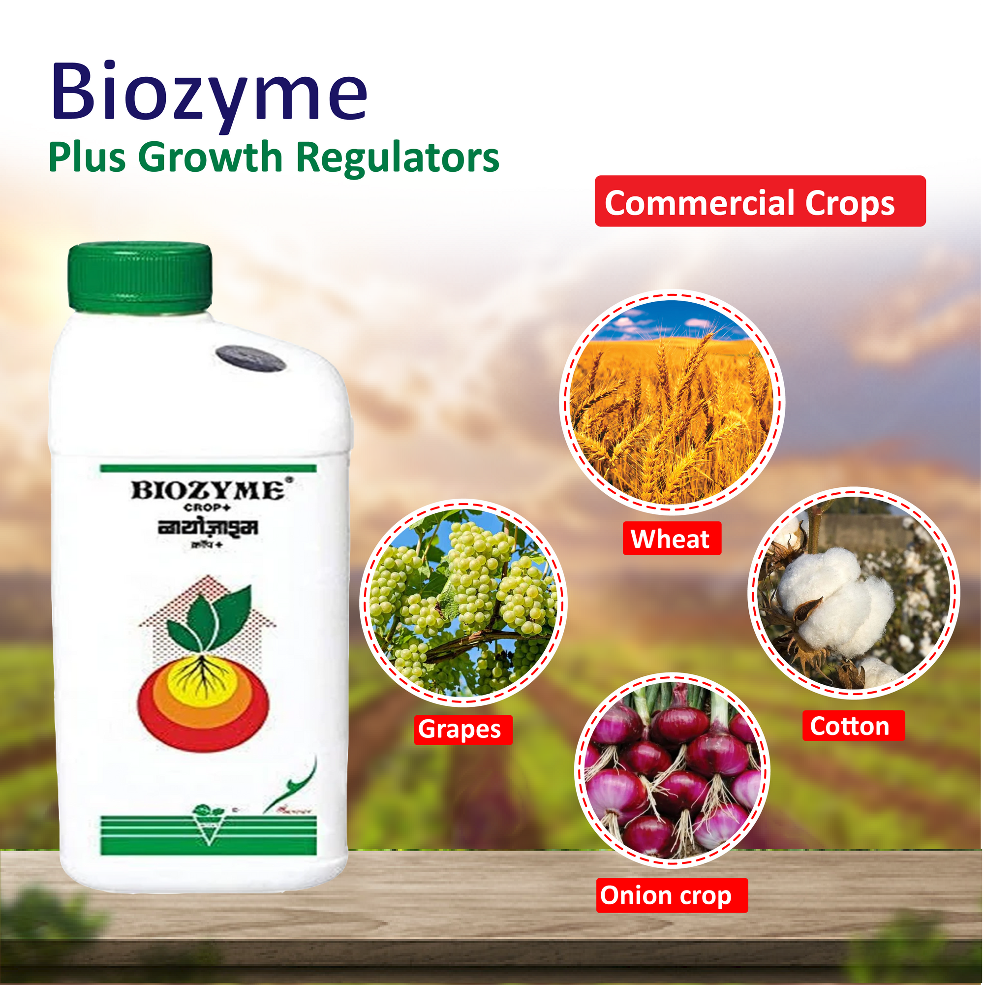 Biostadt Biozyme C Plus  Growth Regulators