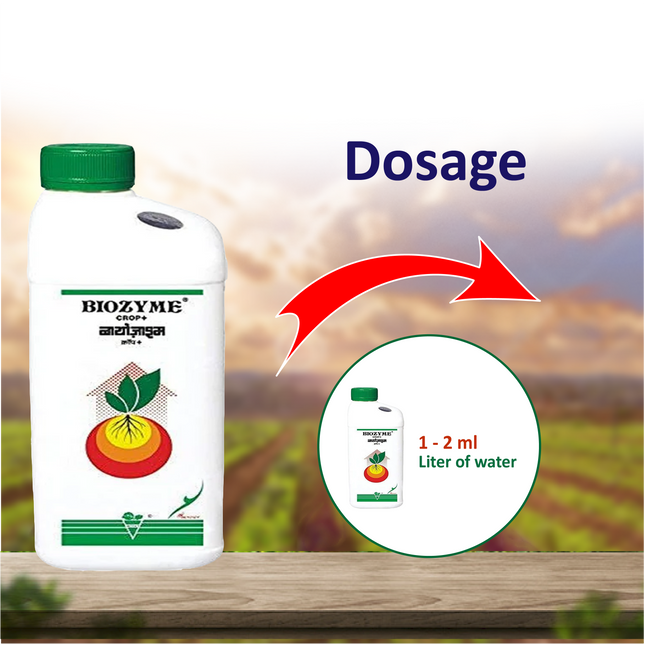 Biostadt Biozyme C Plus  Growth Regulators