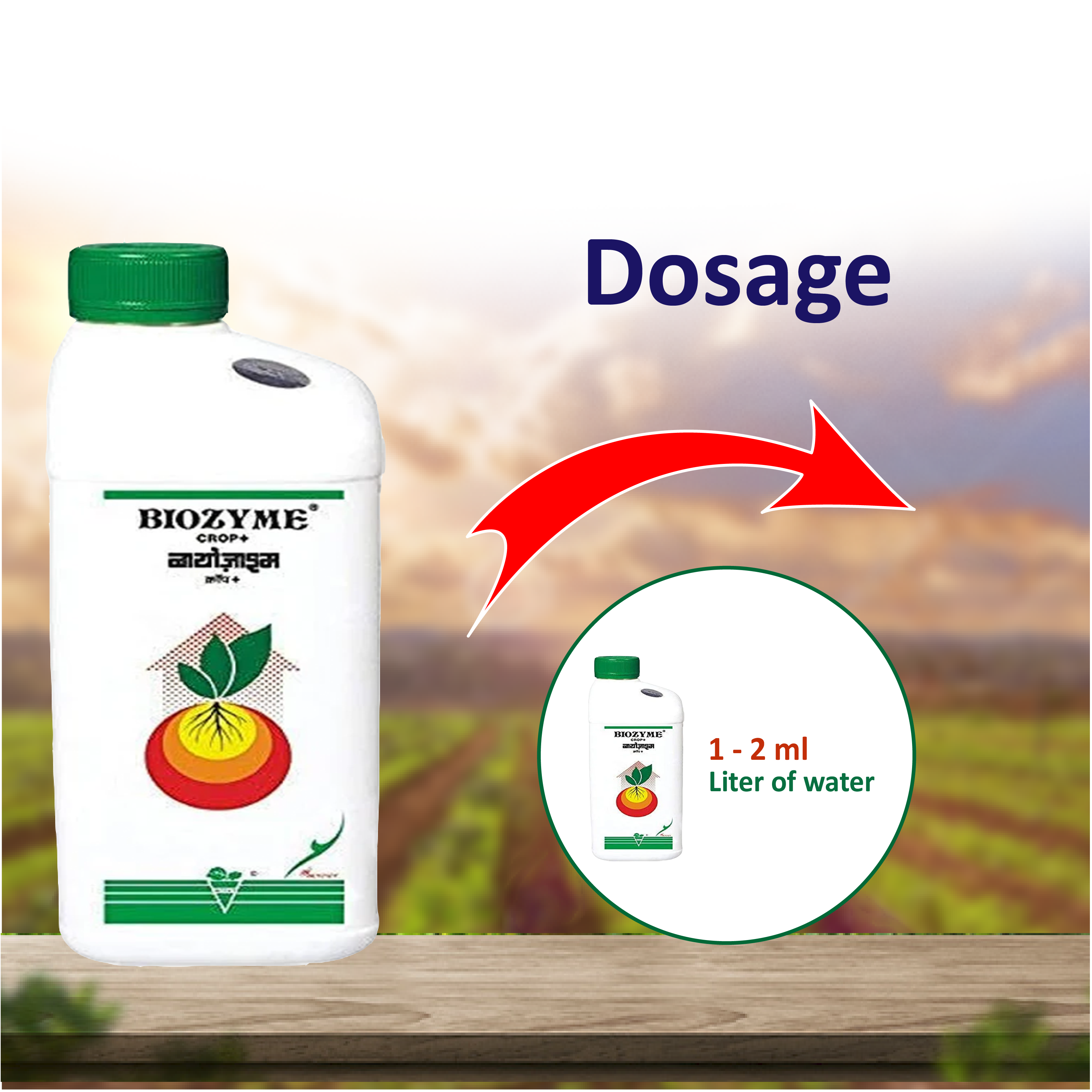 Biostadt Biozyme C Plus Growth Regulators – Agriplex