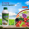 GSP Crazy Growth Regulators