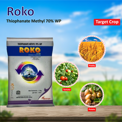 Biostadt Roko Fungicide