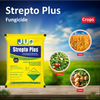 JU Strepto Plus Fungicides - 6 GM