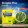 JU Strepto Plus Fungicides - 6 GM