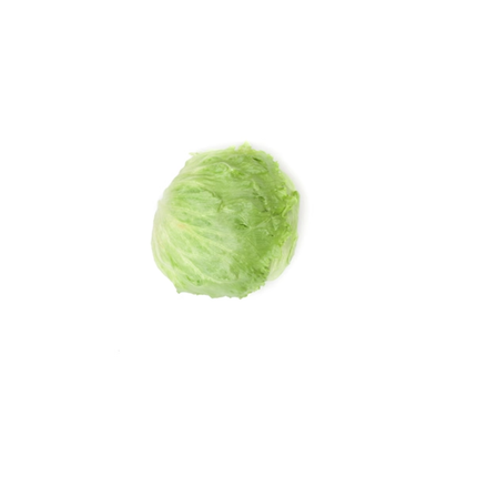 RUBETTE RZ Lettuce - 5000 seeds