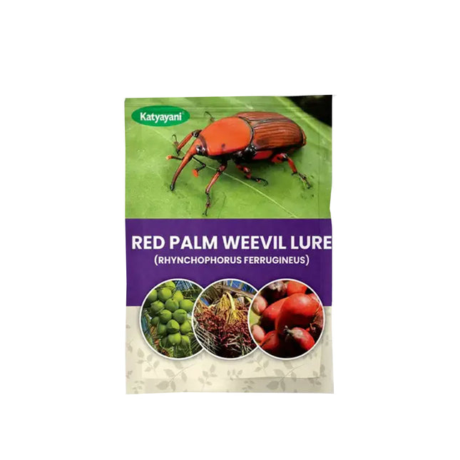 Katyayani Red Palm Weevil Lure (Rhynchophorus Ferrugineus)
