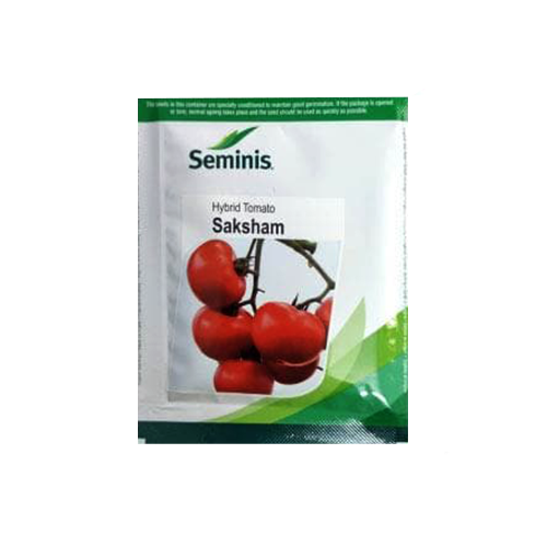 Seminis Saksham Hybrid Tomato Seed -10 GM