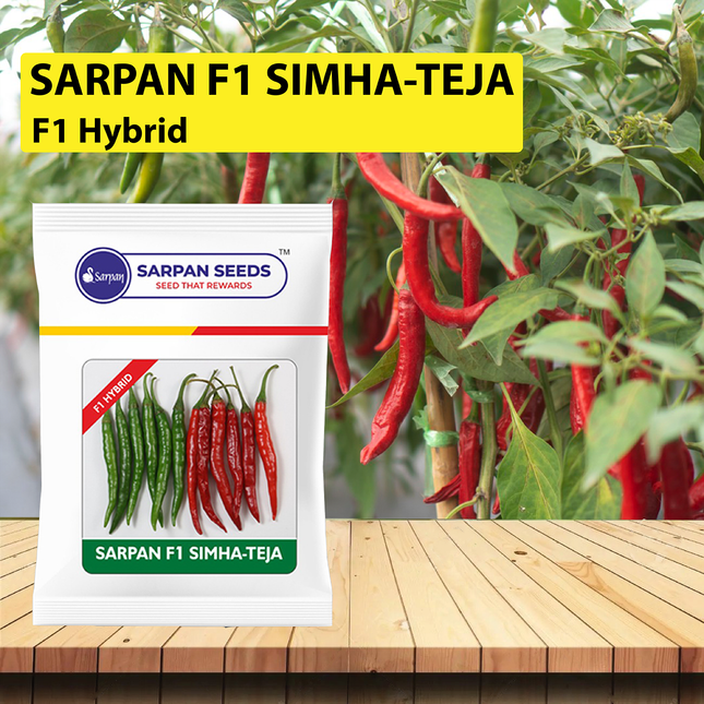 Sarpan Simha Teja Chilli Seeds