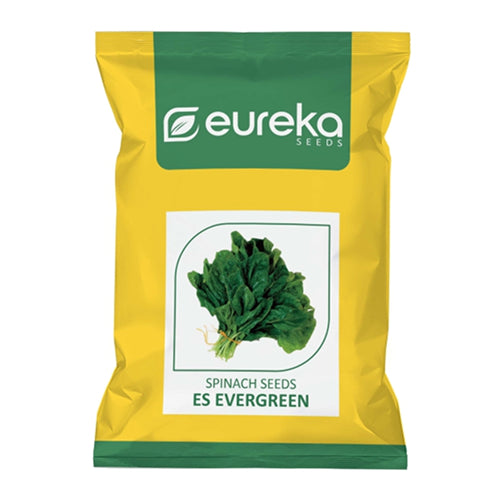 EUREKA PALAK ES EVERGREEN IMPROVED SEEDS