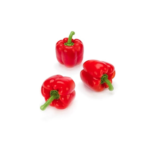 SUBBAN RZ F1 Bell peppers - 1000 Seeds