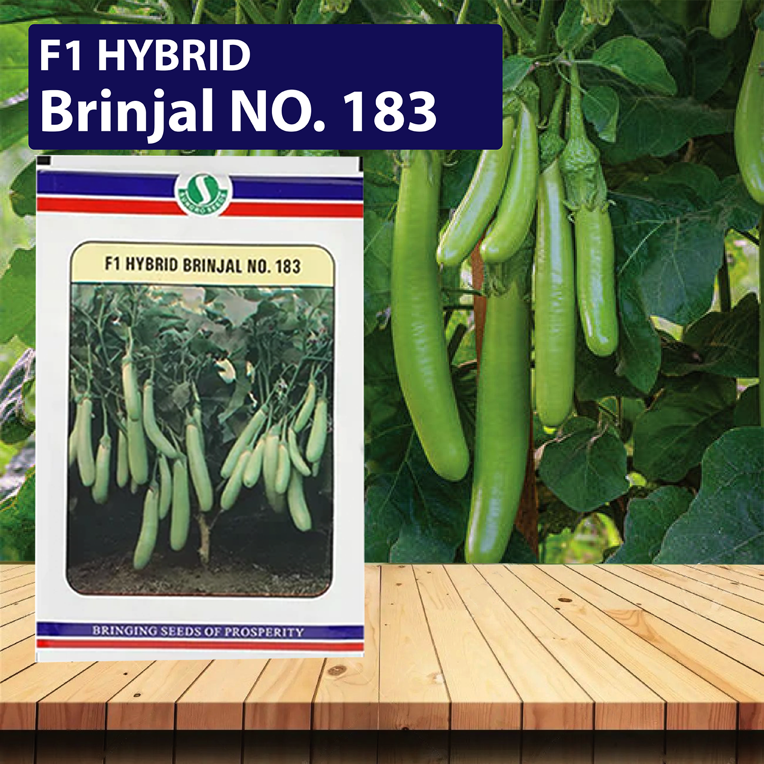 SUNGRO Brinjal No. 183 Seeds - 10 GM - Agriplex