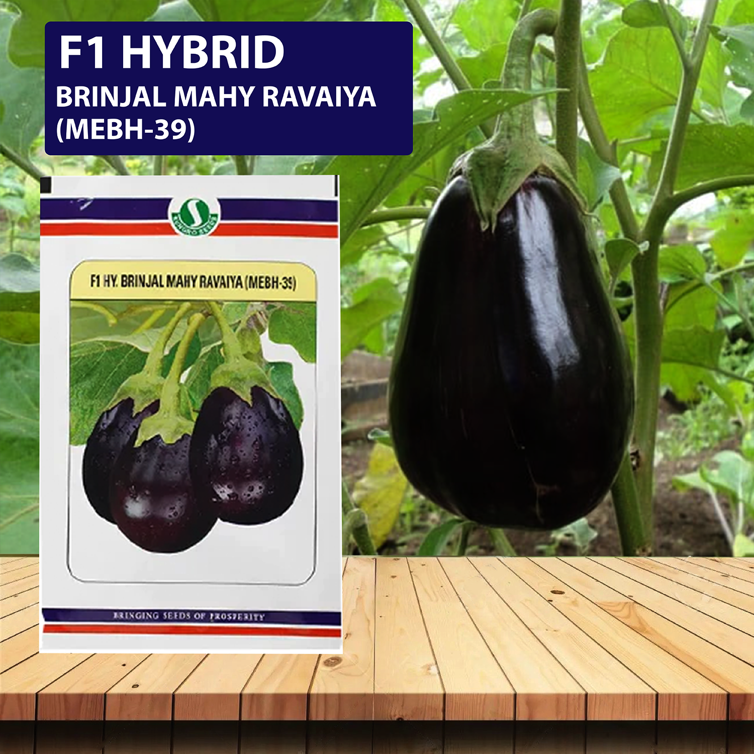 SUNGRO Ravaiya Mebh-39 Seeds - 10 GM (Pack of 2) - Agriplex