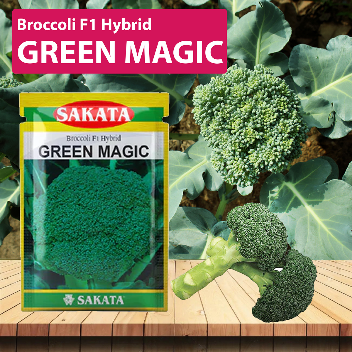 Broccoli Magic Shapoo Sakata Green Magic Broccoli Seeds – Agriplex