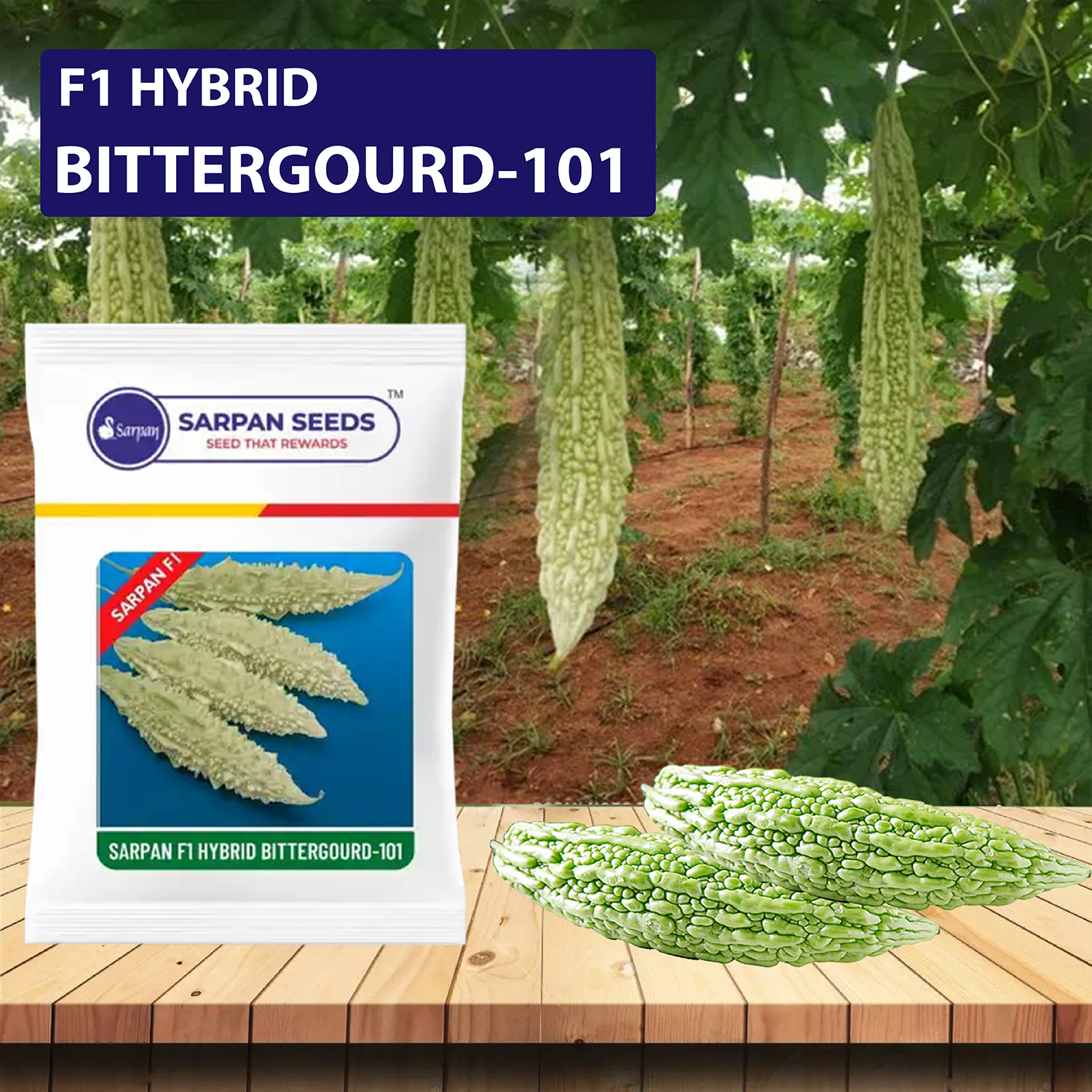 Sarpan Bittergourd-101 Seeds