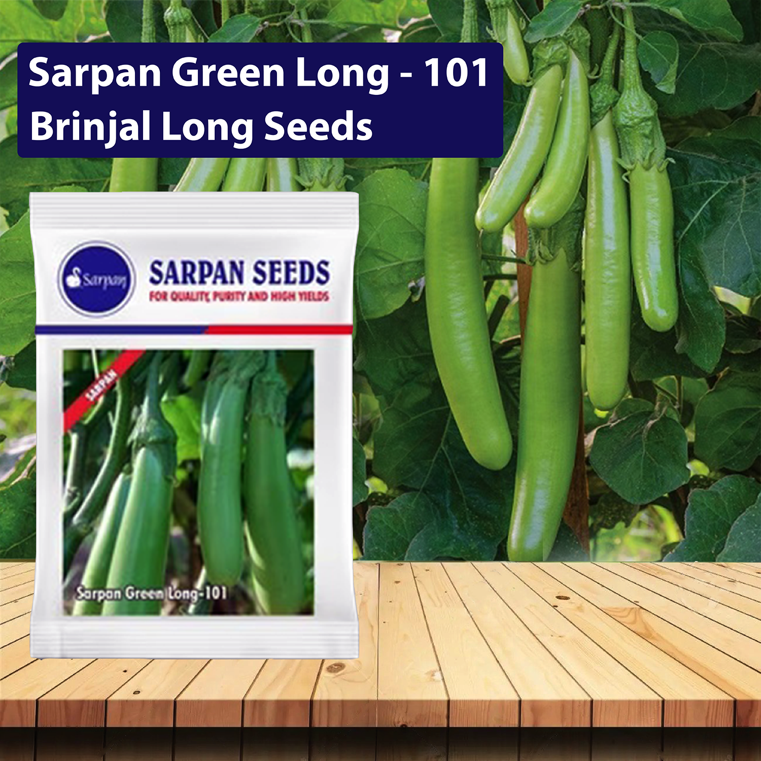 Sarpan Hybrid Green Brinjal Long-101 Seeds - 20 GM