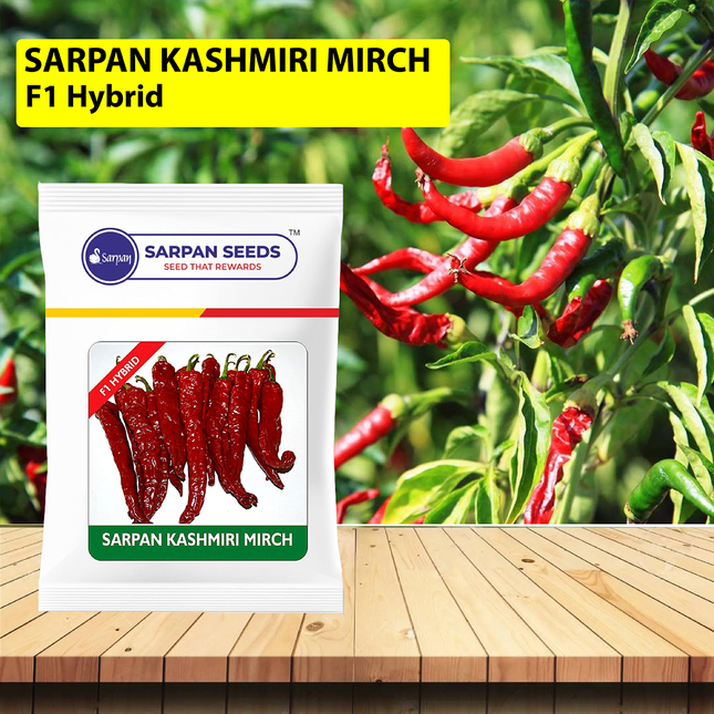 Sarpan Kashmiri Chilli Seeds