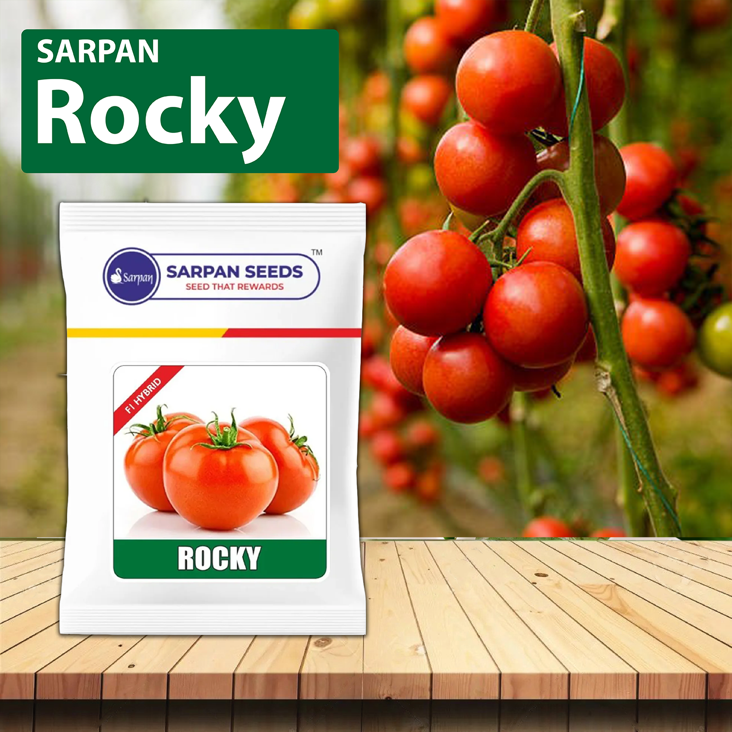 Sarpan Rocky White Shoulder Tomato Seeds