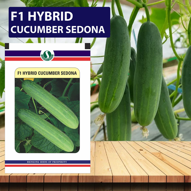 SUNGRO Sedona Seeds - 10 GM - Agriplex