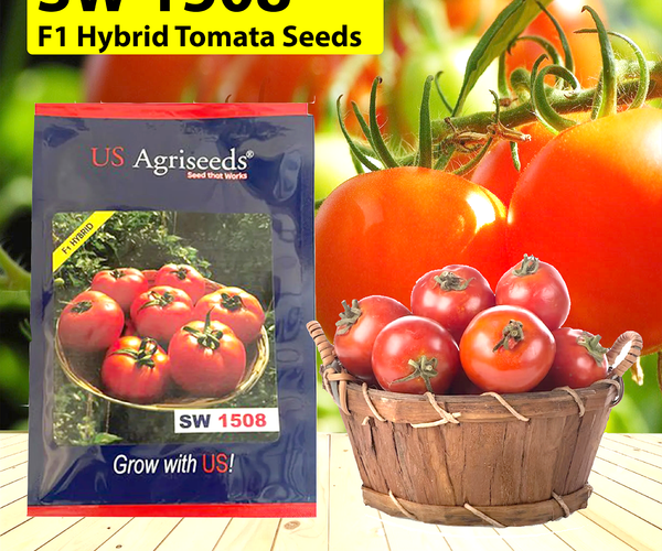 Seedworks India Tomato 1508 10 GM – Agriplex