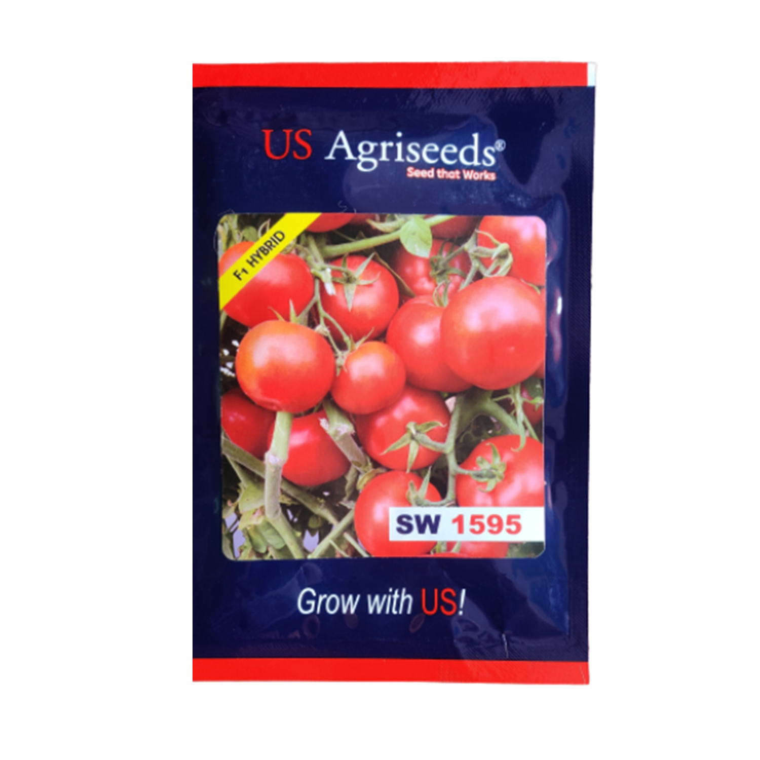 Seedworks India Tomato 1595 10 GM