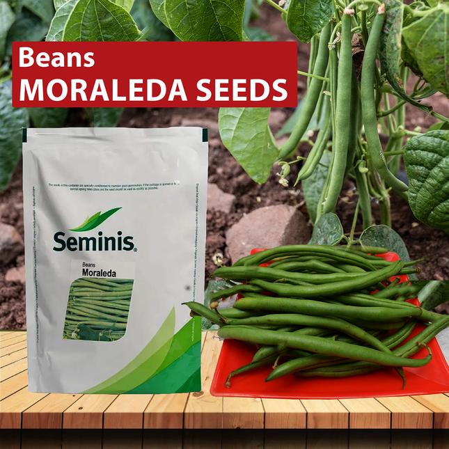 Buy Hybrid Vegetable, Flower, and Fruit Seeds Online at Agriplex India