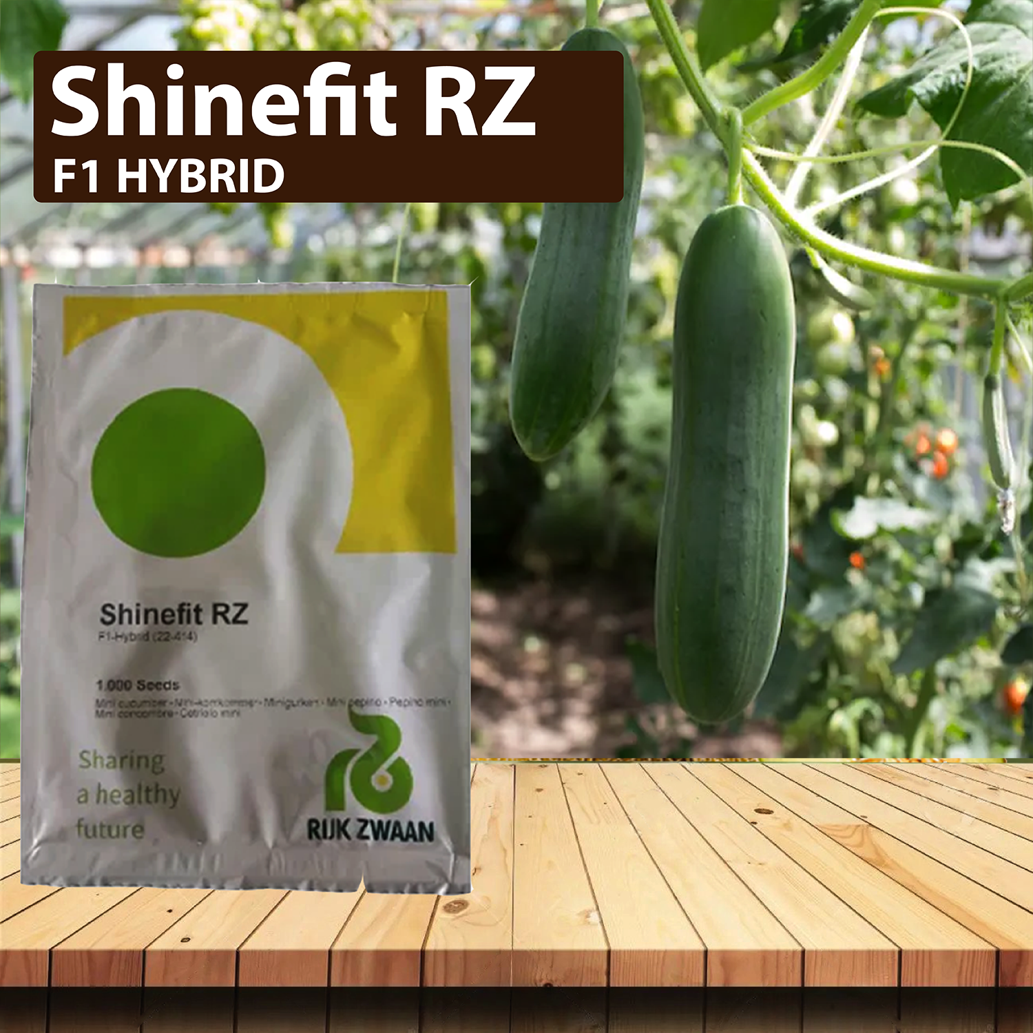 SHINEFIT RZ F1 CUCUMBER - 1000 SEEDS – Agriplex