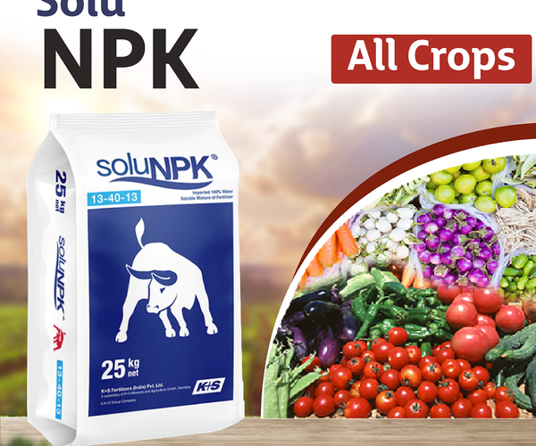 K+S SoluNPK 13:40:13 Fertilizers - 1 KG – Agriplex