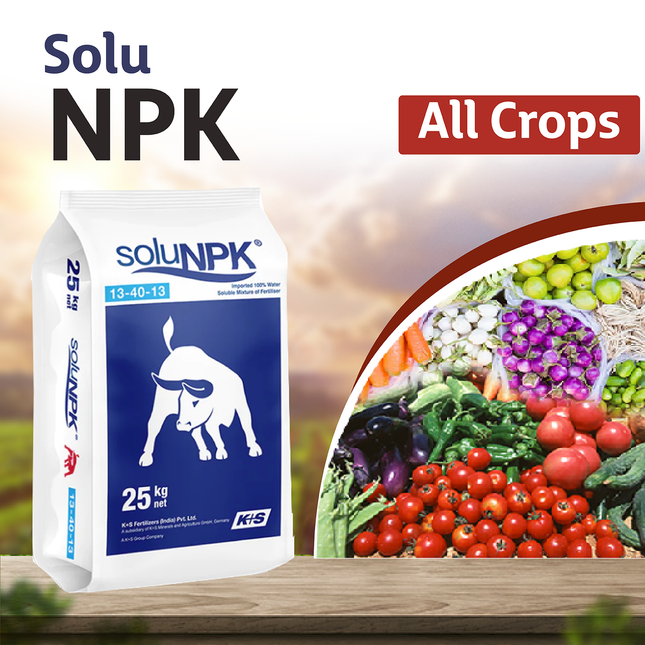 K+S SoluNPK 13:40:13 Fertilizers - 1 KG - Agriplex