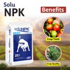 K+S SoluNPK 13:40:13 Fertilizers - 1 KG - Agriplex