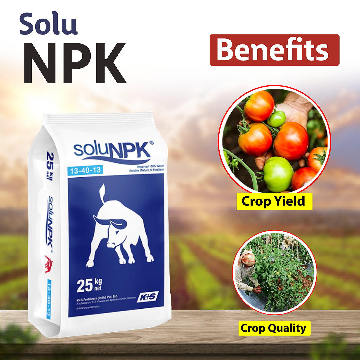 K+S SoluNPK 13:40:13 Fertilizers - 1 KG - Agriplex