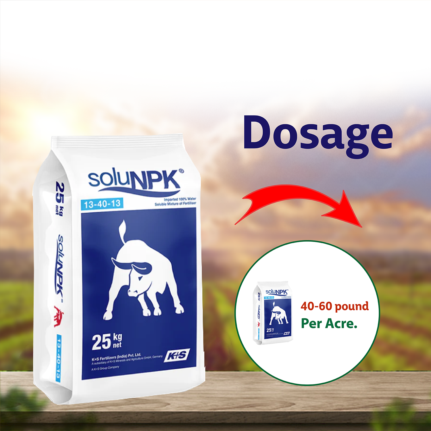 K+S SoluNPK 13:40:13 Fertilizers - 1 KG - Agriplex