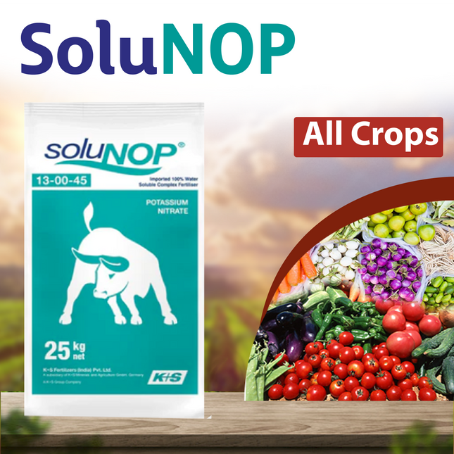 K+S SoluNOP 13:0:45 Fertilizers - 1 KG - Agriplex