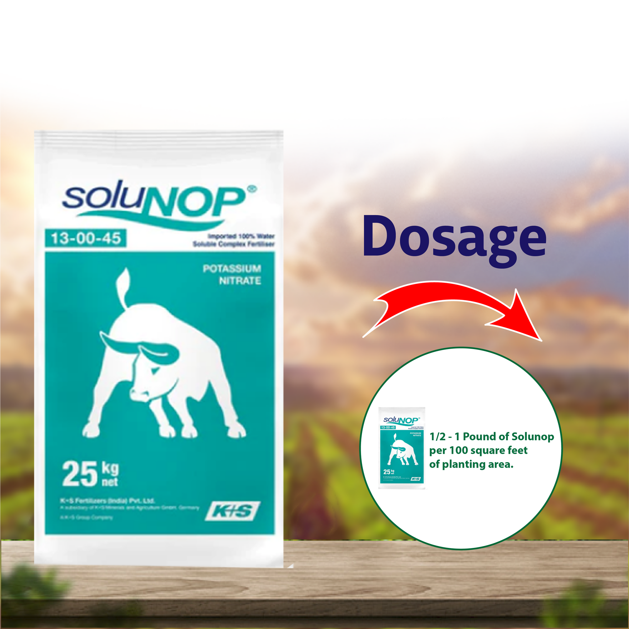 K+S SoluNOP 13:0:45 Fertilizers - 1 KG - Agriplex