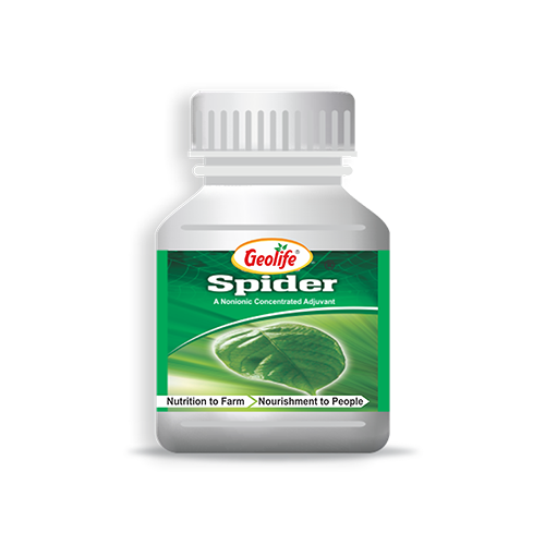 Geolife Spider