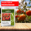 Syngenta Heemshikar Tomato Seeds - 4000 SEEDS