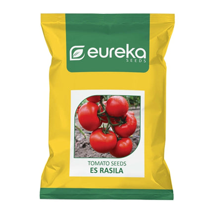 EUREKA TOMATO ES RASILA IMPROVED SEEDS - 20 GMS
