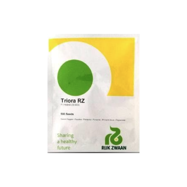TRIORA RZ F1 (35-903) ORANGE CAPSICUM