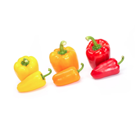 TRIROSSO RZ F1 Sweet Pepper - 1000 Seeds