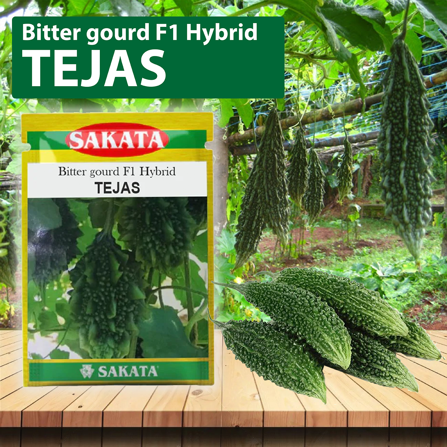 Sakata Tejas Bitter Gourd Seeds - Agriplex