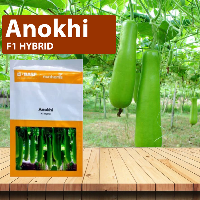 Nunhems Anokhi Bottle Gourd - 250SEEDS - Agriplex