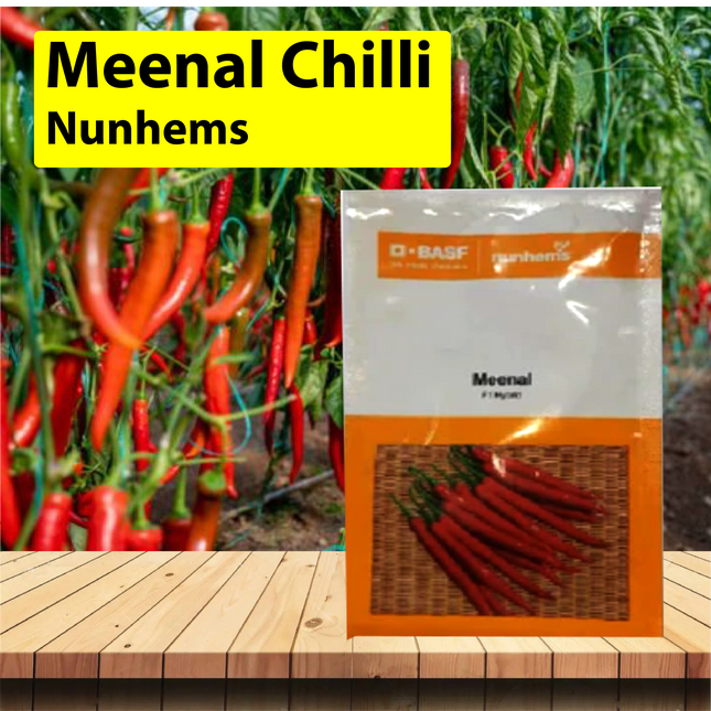Nun hems Meenal Chilli - 1500 SEEDS - Agriplex