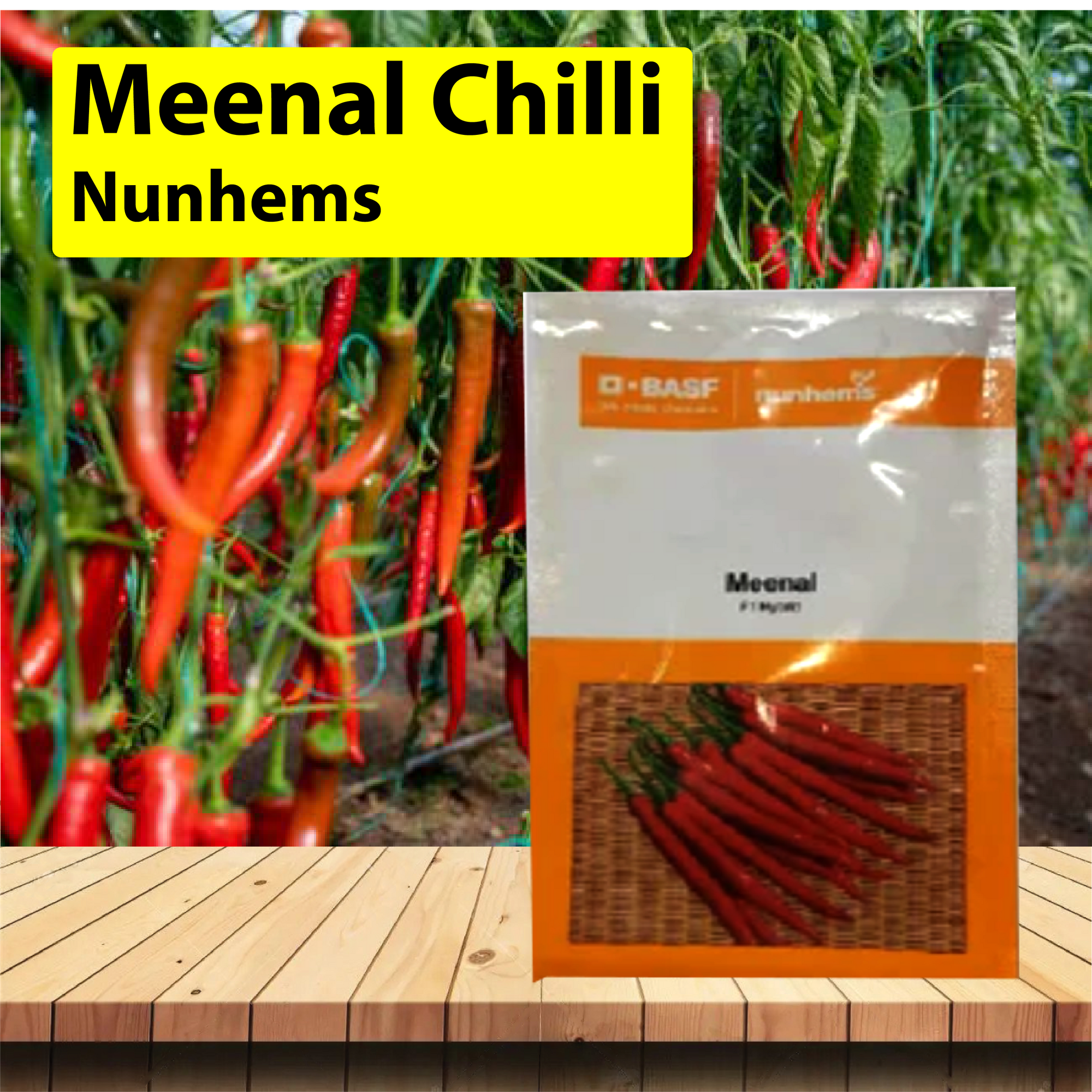 Nun hems Meenal Chilli - 1500 SEEDS - Agriplex