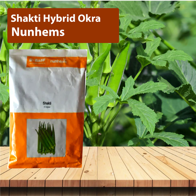 Nunhems Shakti Hybrid Okra - Agriplex