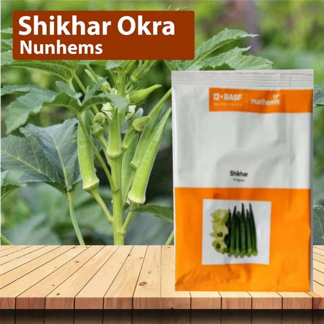 Nunhems Shikhar Okra - 3500SEEDS - Agriplex