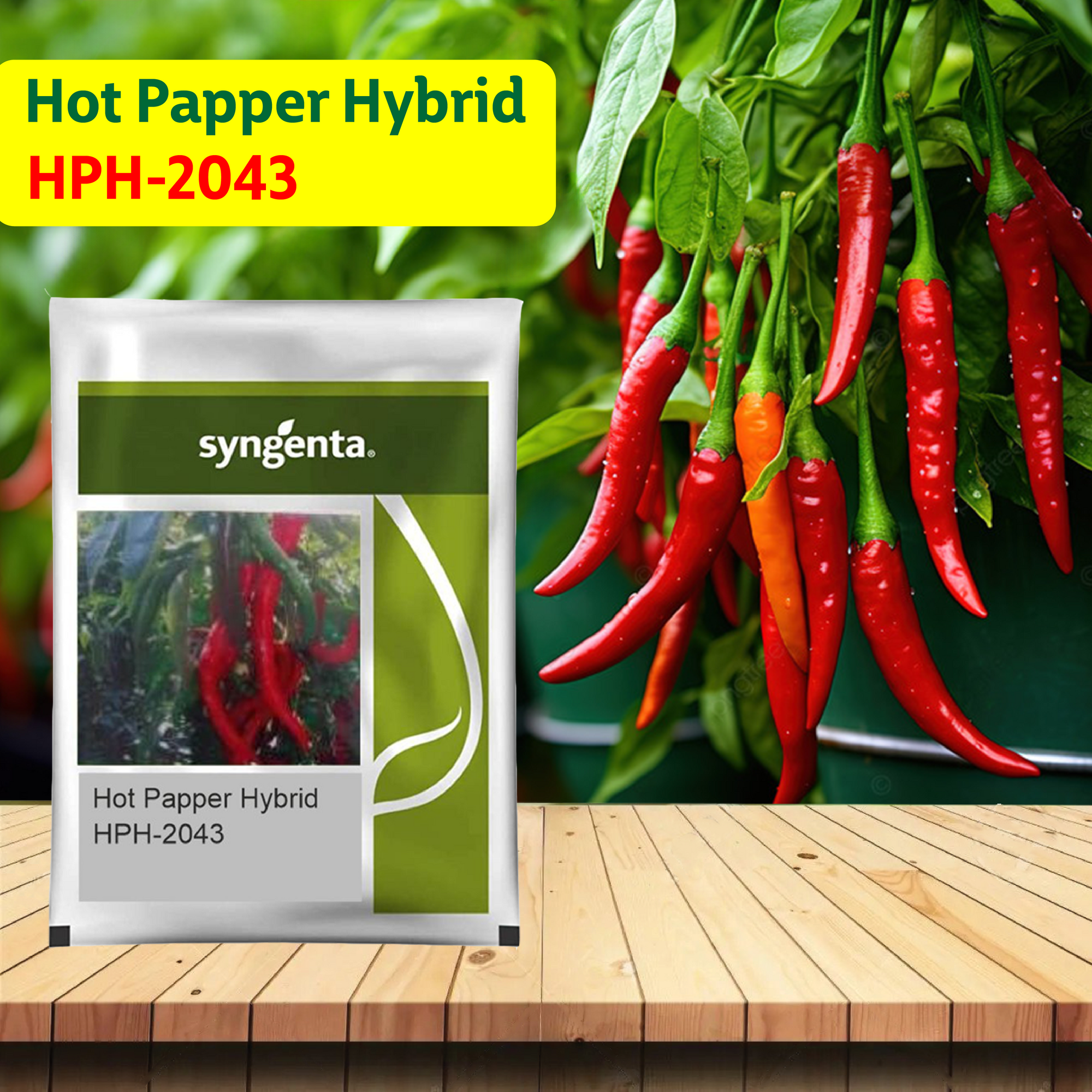 Syngenta HPH 2043 Chilli Seeds