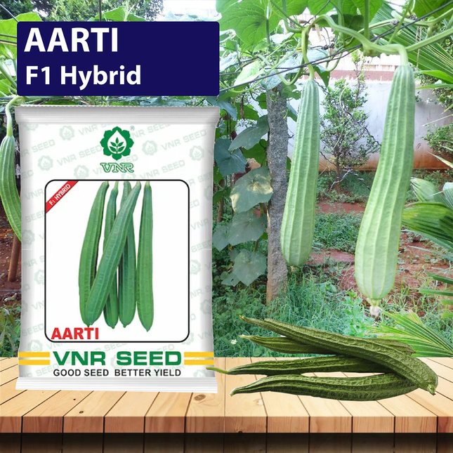 VNR Aarti Ridge Gourdridge Gourd - 50 GM